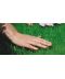 Фото, картинка, зображення Газонная трава DLF-Trifolium Турфлайн Mini (Мини), 20 кг