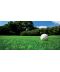 Фото, картинка, зображення Газонная трава DLF-Trifolium Турфлайн Sport (Спорт), 7,5 кг