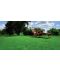 Фото, картинка, зображення Газонная трава DLF-Trifolium Турфлайн Sunshine (Саншайн), 1 кг