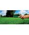 Фото, картинка, изображение Газонная трава DLF-Trifolium Турфлайн Waterless (Ватерлесс), 1 кг