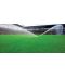 Фото, картинка, зображення Газонная трава DLF-Trifolium Мастерлайн Експрессмастер, 10 кг