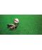 Фото, картинка, зображення Газонная трава DLF-Trifolium Мастерлайн Sportmaster (Спортмастер), 1 кг