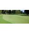 Фото, картинка, зображення Газонная трава DLF-Trifolium Мастерлайн Golfmaster (Гольфмастер), 1 кг